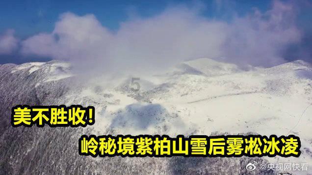 TFboys双人排球