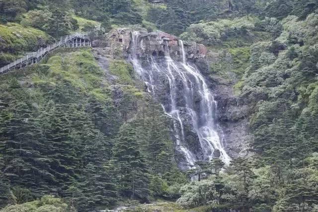 【山林视点】上海“小生煎包”们到中国雪谷、龙江凤凰山景区听抗联故事、瞻仰抗联英雄纪念碑